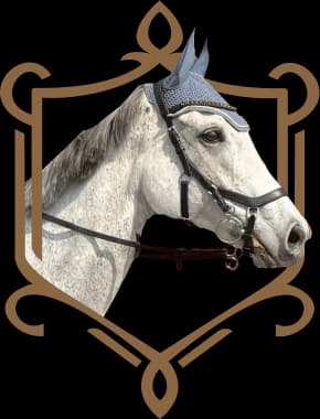 Koń o imieniu Joy Of Course